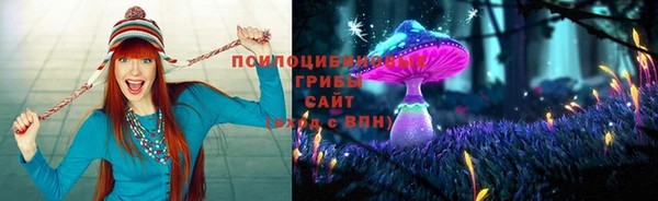 дмт Бородино