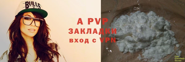дмт Бородино