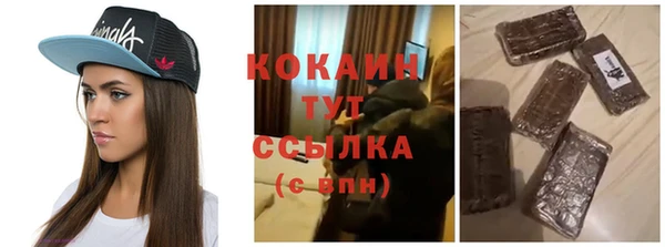 МДПВ Богородск