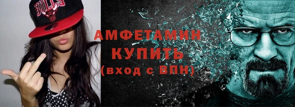 дмт Бородино