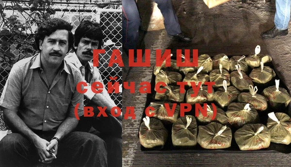 дмт Бородино
