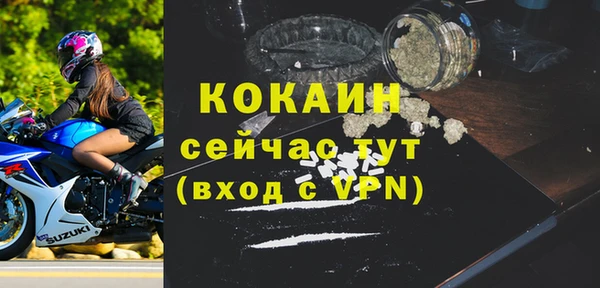 МДПВ Богородск