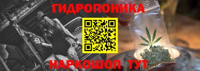 шишки Усть-Илимск