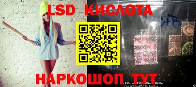 шишки Усть-Илимск