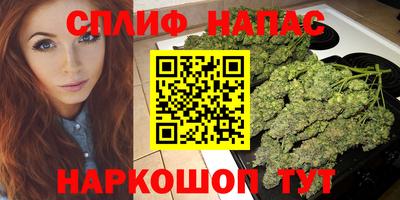шишки Усть-Илимск