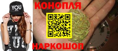 шишки Усть-Илимск