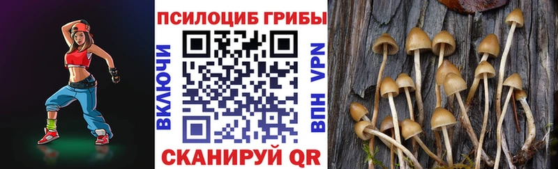 Псилоцибиновые грибы Psilocybe  купить наркотики сайты  Искитим 